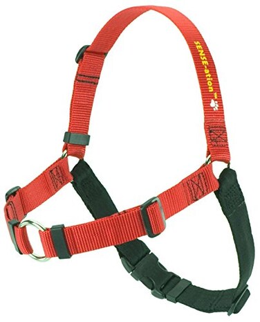 Softouch Concepts Senseation NoPull Dog Harness MediumLarge Wide Red with Black