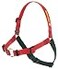 Softouch Senseation NoPull Dog Harness Red Medium