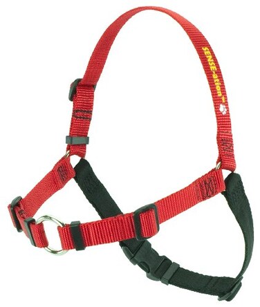 Softouch Senseation NoPull Dog Harness Red Medium