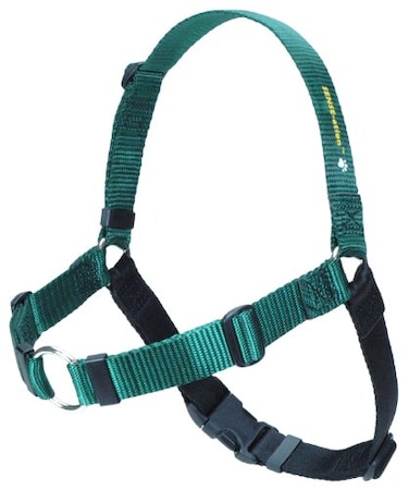 SENSE-ation Dog Harness Senseation NoPull Dog Harness Green Large Wide