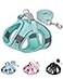 Solmoony Dog Harness for Small Medium Dogs No Pull Puppy Harness and Leash Set Puppy Harness Step in Harness for Small Dogsmesh Dog Harness Green L