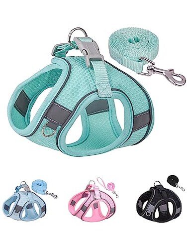 Solmoony Dog Harness for Small Medium Dogs No Pull Puppy Harness and Leash Set Puppy Harness Step in Harness for Small Dogsmesh Dog Harness Green L