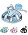 Solmoony Dog Harness for Small Medium Dogs No Pull Puppy Harness and Leash Set Puppy Harness Step in Harness for Small Dogs mesh Dog Harness Bule XXS