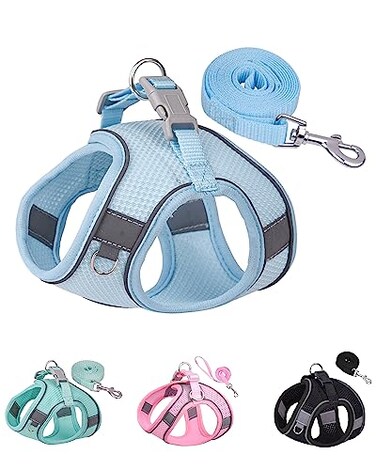 Solmoony Dog Harness for Small Medium Dogs No Pull Puppy Harness and Leash Set Puppy Harness Step in Harness for Small Dogs mesh Dog Harness Bule XXS
