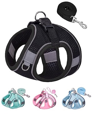 SOLMOONY Dog Harness for Small Medium Dogs No Pull Puppy and Leash Set Dogs Step in Harness mesh Harness Black XXS