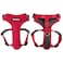DJANGO Adventure Dog Harness Stylish and Durable Medium Dog Harness for Outdoor Adventures and Everyday Wear Red Neoprene Adjustable Harness for Dogs with Reflective Piping Solid Brass DRing