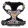 Lucky Love Dog No Pull Dog Harness Adjustable and Easy to Walk Cute Patterned Harness for Large Male Female Dogs Blackbird Large