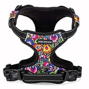 Lucky Love Dog No Pull Dog Harness Adjustable and Easy to Walk Cute Patterned Harness for Large Male Female Dogs Blackbird Large