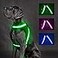 ChalkLit Light Up Dog Harness No Pull Led Dog Harness GlowinTheDark for Night Walking USB Rechargeable Lighted Safety Vest for Medium Large Dogs Adjustable Soft Mesh Fully IlluminatedGreen L