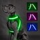 ChalkLit Light Up Dog Harness No Pull Led Dog Harness GlowinTheDark for Night Walking USB Rechargeable Lighted Safety Vest for Medium Large Dogs Adjustable Soft Mesh Fully IlluminatedGreen L