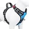 PHOEPET No Pull Dog Harnesses for Small Dogs Reflective Adjustable Front Clip Vest with Handle 2 Metal Rings 3 Buckles Easy to Put on Take OffXS Blue