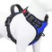 PHOEPET No Pull Dog Harness Medium Reflective Front Clip Vest with HandleAdjustable 2 Metal Rings 3 BucklesEasy to Put on Take OffXS Royal Blue