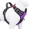 PHOEPET No Pull Dog Harnesses for Small Dogs Reflective Adjustable Front Clip Vest with Handle 2 Metal Rings 3 Buckles Easy to Put on Take OffXS Purple