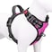 PHOEPET No Pull Dog Harnesses for Small Dogs Reflective Adjustable Front Clip Vest with Handle 2 Metal Rings 3 Buckles Easy to Put on Take OffXS Pink