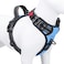 PHOEPET No Pull Dog Harness Reflective Adjustable Vest with a Training Handle Name ID Pocket 2 Metal Leash Hooks 3 Snap Buckles Easy to Put on Take OffS Baby Blue