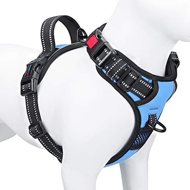 PHOEPET No Pull Dog Harness Reflective Adjustable Vest with a Training Handle Name ID Pocket 2 Metal Leash Hooks 3 Snap Buckles Easy to Put on Take OffS Baby Blue