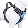PHOEPET No Pull Dog Harness Reflective Adjustable Vest with a Training Handle Name ID Pocket 2 Metal Leash Hooks 3 Snap Buckles Easy to Put on Take OffS Baby Blue