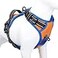 PHOEPET 2019 Reflective Dog Harness Large Breed Adjustable No Pull Vest with with Handle 2 Metal Rings 3 Buckles Easy to Put on Take OffXLOrange