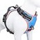 PHOEPET 2019 No Pull Dog Harness Medium Reflective Front Clip Vest with HandleAdjustable 2 Metal Rings 3 BucklesEasy to Put on Take OffM Blue