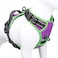 PHOEPET 2019 Reflective Dog Harness Large Breed Adjustable No Pull Vest with with Handle 2 Metal Rings 3 Buckles Easy to Put on Take OffXL Purple