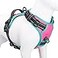 PHOEPET 2019 Upgraded No Pull Dog Harness Reflective Adjustable Vest with a Training Handle 2 Metal Leash Hooks 3 Snap Buckles 4 Slide BucklesM Pink