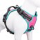 PHOEPET 2019 Upgraded No Pull Dog Harness Reflective Adjustable Vest with a Training Handle 2 Metal Leash Hooks 3 Snap Buckles 4 Slide BucklesM Pink