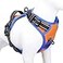 PHOEPET 2019 No Pull Dog Harnesses for Small Dogs Reflective Adjustable Front Clip Vest with Handle 2 Metal Rings 3 Buckles Easy to Put on Take OffS Orange