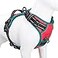 PHOEPET 2019 Upgraded No Pull Dog Harness Reflective Adjustable Vest with a Training Handle 2 Metal Leash Hooks 3 Snap Buckles 4 Slide BucklesS Red
