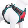 PHOEPET 2019 Upgraded No Pull Dog Harness3M Reflective Adjustable Vest with a Training Handle 2 Metal Leash Hooks 3 Snap Buckles 4 Slide BucklesXS Red