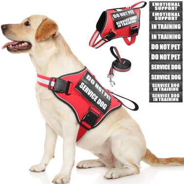 MOOGROU Service Dog Vest Harness and Leash Set10 PatchesNo PullAdjustable Reflective Dog Harness with Soft Padded Handle for TrainingEverydayFit SmallMediumLargeExtraLarge DogsRed L