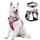WINSEE Dog Harness No Pull Pet Harnesses with Dog Collar Adjustable Reflective Oxford Outdoor Vest FrontBack Leash Clips for Small Medium Large Extra Large Dogs Easy Control Handle for Walking