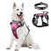 WINSEE Dog Harness No Pull Pet Harnesses with Dog Collar Adjustable Reflective Oxford Outdoor Vest FrontBack Leash Clips for Small Medium Large Extra Large Dogs Easy Control Handle for Walking