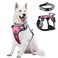 WINSEE Dog Harness No Pull Pet Harnesses with Dog Collar Adjustable Reflective Oxford Outdoor Vest FrontBack Leash Clips for Small Medium Large Extra Large Dogs Easy Control Handle for Walking