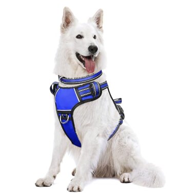 WINSEE Dog Harness No Pull Pet Harnesses with Dog Collar Adjustable Reflective Oxford Outdoor Vest FrontBack Leash Clips for Small Medium Large Extra Large Dogs Easy Control Handle for Walking