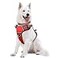 WINSEE Dog Harness No Pull Pet Harnesses with Dog Collar Adjustable Reflective Oxford Outdoor Vest FrontBack Leash Clips for Small Medium Large Extra Large Dogs Easy Control Handle for Walking