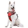 WINSEE Dog Harness No Pull Pet Harnesses with Dog Collar Adjustable Reflective Oxford Outdoor Vest FrontBack Leash Clips for Small Medium Large Extra Large Dogs Easy Control Handle for Walking