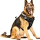 WINSEE DogPet Harnesses No Pull with Dog Collar Adjustable Reflective Oxford Outdoor Vest FrontBack Leash Clips for Small Medium Large Extra Large Dogs Easy Control Handle for Walking