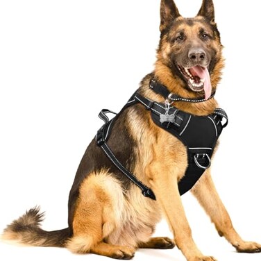 WINSEE DogPet Harnesses No Pull with Dog Collar Adjustable Reflective Oxford Outdoor Vest FrontBack Leash Clips for Small Medium Large Extra Large Dogs Easy Control Handle for Walking