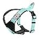 Pawtitas Reflective Padded Dog Harness for XSmall Dogs Adjustable Puppy Stepin Vest Fits Chest 1418 in No Pull Training Harness XS Teal
