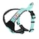 Pawtitas Reflective Padded Dog Harness for XSmall Dogs Adjustable Puppy Stepin Vest Fits Chest 1418 in No Pull Training Harness XS Teal