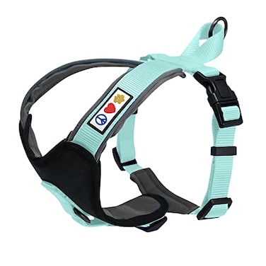 Pawtitas Reflective Padded Dog Harness for XSmall Dogs Adjustable Puppy Stepin Vest Fits Chest 1418 in No Pull Training Harness XS Teal