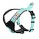 Pawtitas Reflective Padded Dog Harness for XSmall Dogs Adjustable Puppy Stepin Vest Fits Chest 1418 in No Pull Training Harness XS Teal