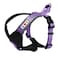 Pawtitas Reflective Padded Dog Harness for XSmall Dogs Adjustable Puppy Stepin Vest Fits Chest 1418 in No Pull Training Harness XS Orchid