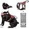 WINSEE Service Dog Vest No Pull Dog Harness with 7 Dog Patches Reflective Pet Harness with Durable Soft Padded Handle for Training Small Medium Large and ExtraLarge Dogs Medium Red
