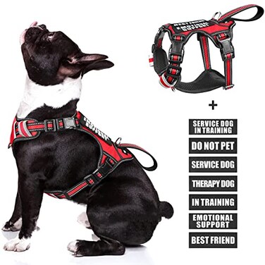 WINSEE Service Dog Vest No Pull Dog Harness with 7 Dog Patches Reflective Pet Harness with Durable Soft Padded Handle for Training Small Medium Large and ExtraLarge Dogs Medium Red