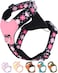 SOLMOONY Black xs Dog Harness for Small Dogs No Pull Dog Harness with 2 Leash Clips Puppy Harness Dog Vest HarnessBlack XS