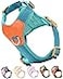 SOLMOONY Blue xs Dog Harness for Small Dogs No Pull Dog Harness with 2 Leash ClipsPuppy Harness Dog Vest Harness Blue XS