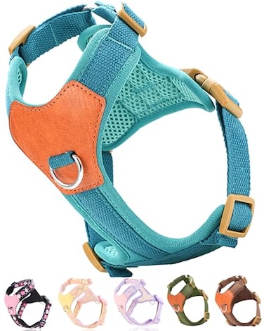 SOLMOONY Blue xs Dog Harness for Small Dogs No Pull Dog Harness with 2 Leash ClipsPuppy Harness Dog Vest Harness Blue XS