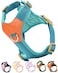 SOLMOONY Blue xs Dog Harness for Small Dogs No Pull Dog Harness with 2 Leash ClipsPuppy Harness Dog Vest Harness Blue XS