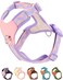 SOLMOONY Purple Medium Dog Harness for Medium Dogs No Pull Dog Harness with 2 Leash Clips Puppy Harness Dog Vest Harness Purple M